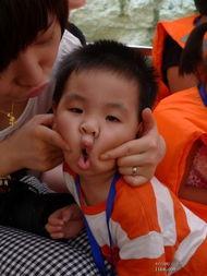 小凡娱乐吃瓜,揭秘娱乐圈最新吃瓜事件，带你领略明星幕后故事