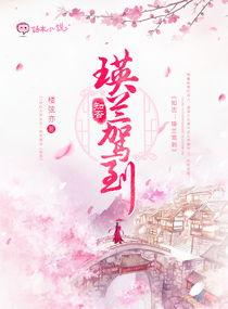 娱乐圈吃瓜封面小说,瓜田里的秘密风云